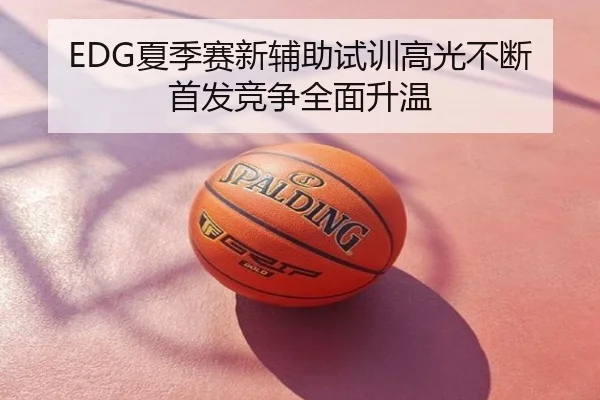 EDG夏季赛新辅助试训高光不断首发竞争全面升温